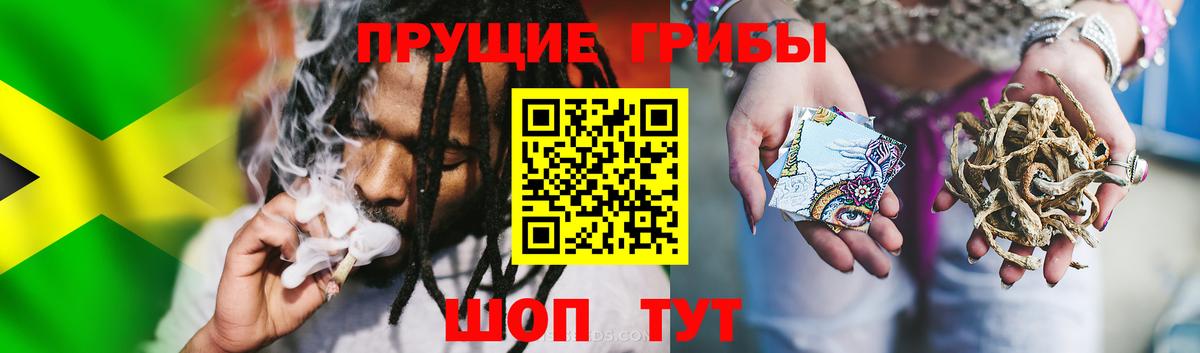 Галлюциногенные грибы GOLDEN TEACHER Озёрск
